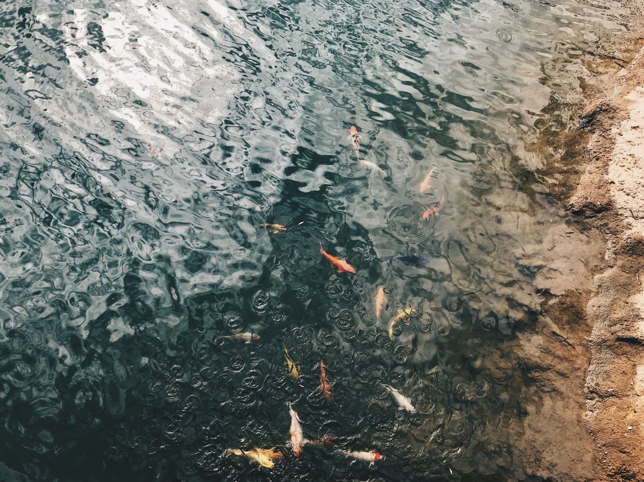 The Ripple Effect of Climate Change: Impact on Freshwater Resources