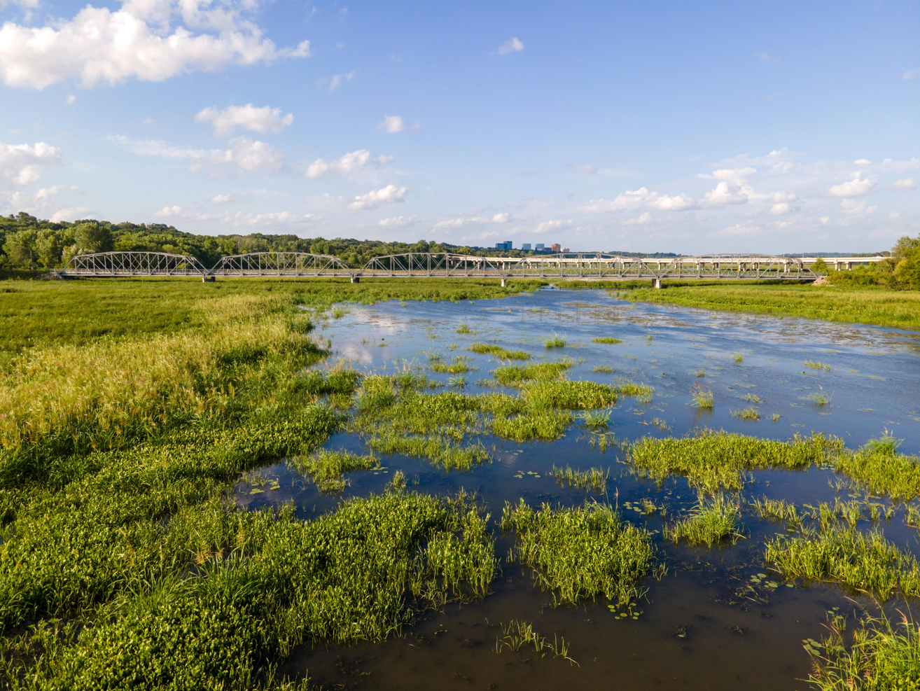 A Swamp Beside Green Field.  Bloomington, MN, United States  